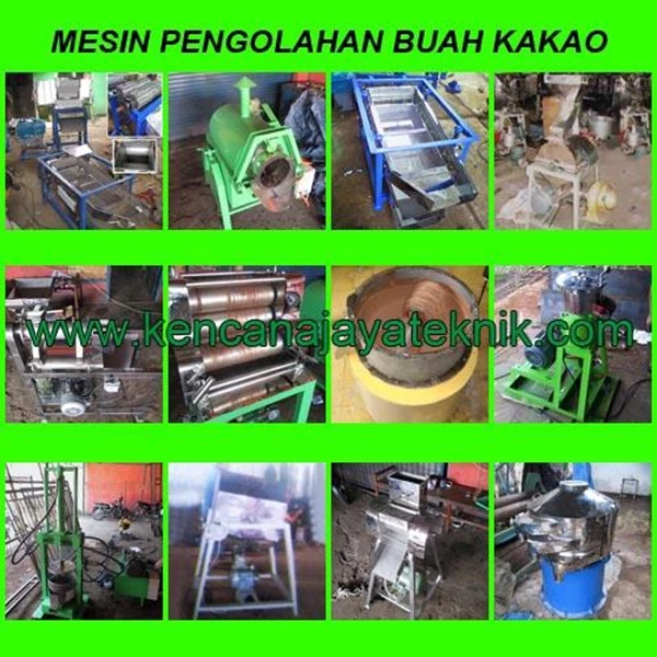Cocoa Fruit Processing Machine Capacity 100 Kg/Hour